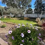 Tatil Evi Mini Pascal Paoli Avec Piscine - Proche *