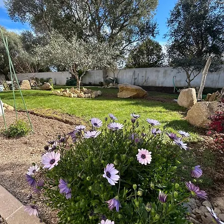 Holiday home Mini Pascal Paoli Avec Piscine - Proche *