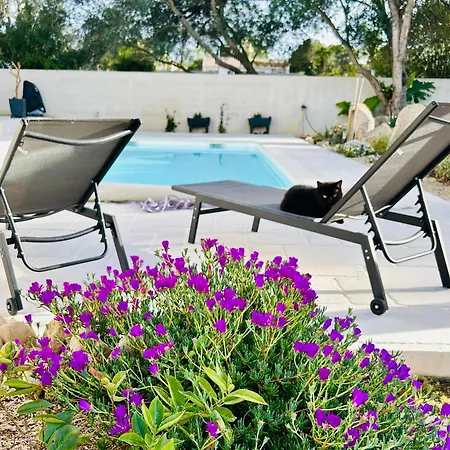 Mini Pascal Paoli Avec Piscine - Proche Holiday home Prunelli-di-Fiumorbo