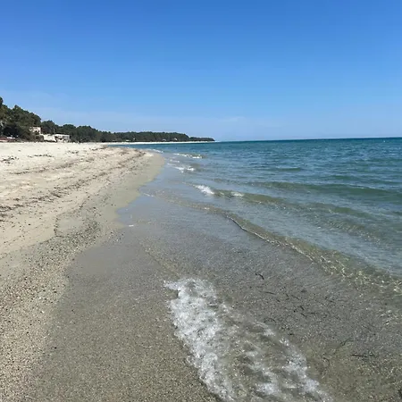Mini Pascal Paoli Avec Piscine - Proche