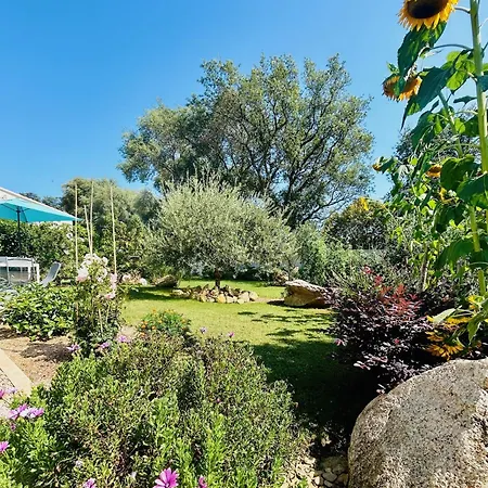 Mini Pascal Paoli Avec Piscine - Proche * Prunelli-di-Fiumorbo