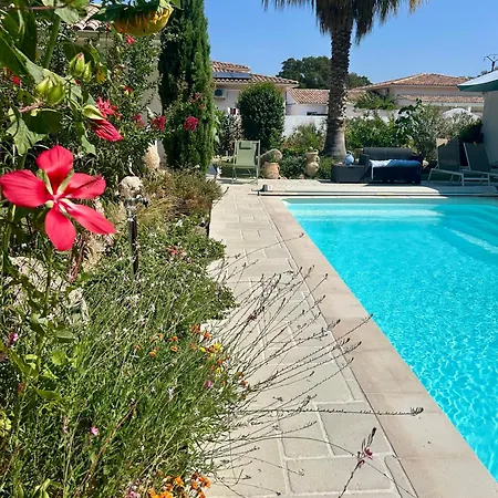 Mini Pascal Paoli Avec Piscine - Proche * Prunelli-di-Fiumorbo