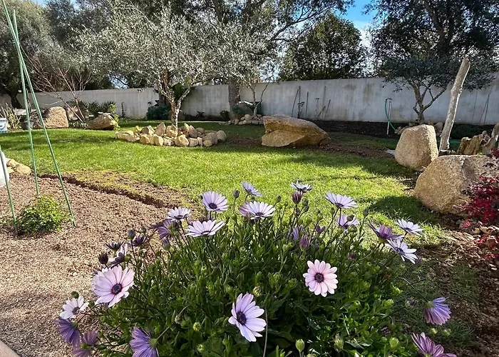 Prázdninový dům Mini Pascal Paoli Avec Piscine - Proche *