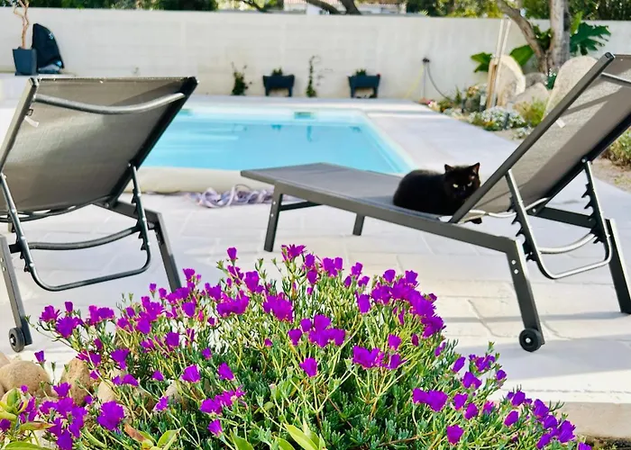 Mini Pascal Paoli Avec Piscine - Proche Prázdninový dům Prunelli-di-Fiumorbo