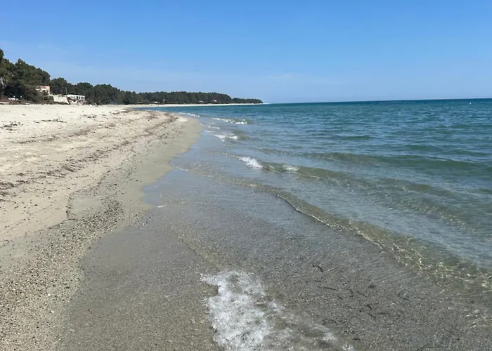 Mini Pascal Paoli Avec Piscine - Proche
